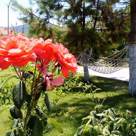 Gurkan Apart Hotel Dalyan Εξωτερικό φωτογραφία