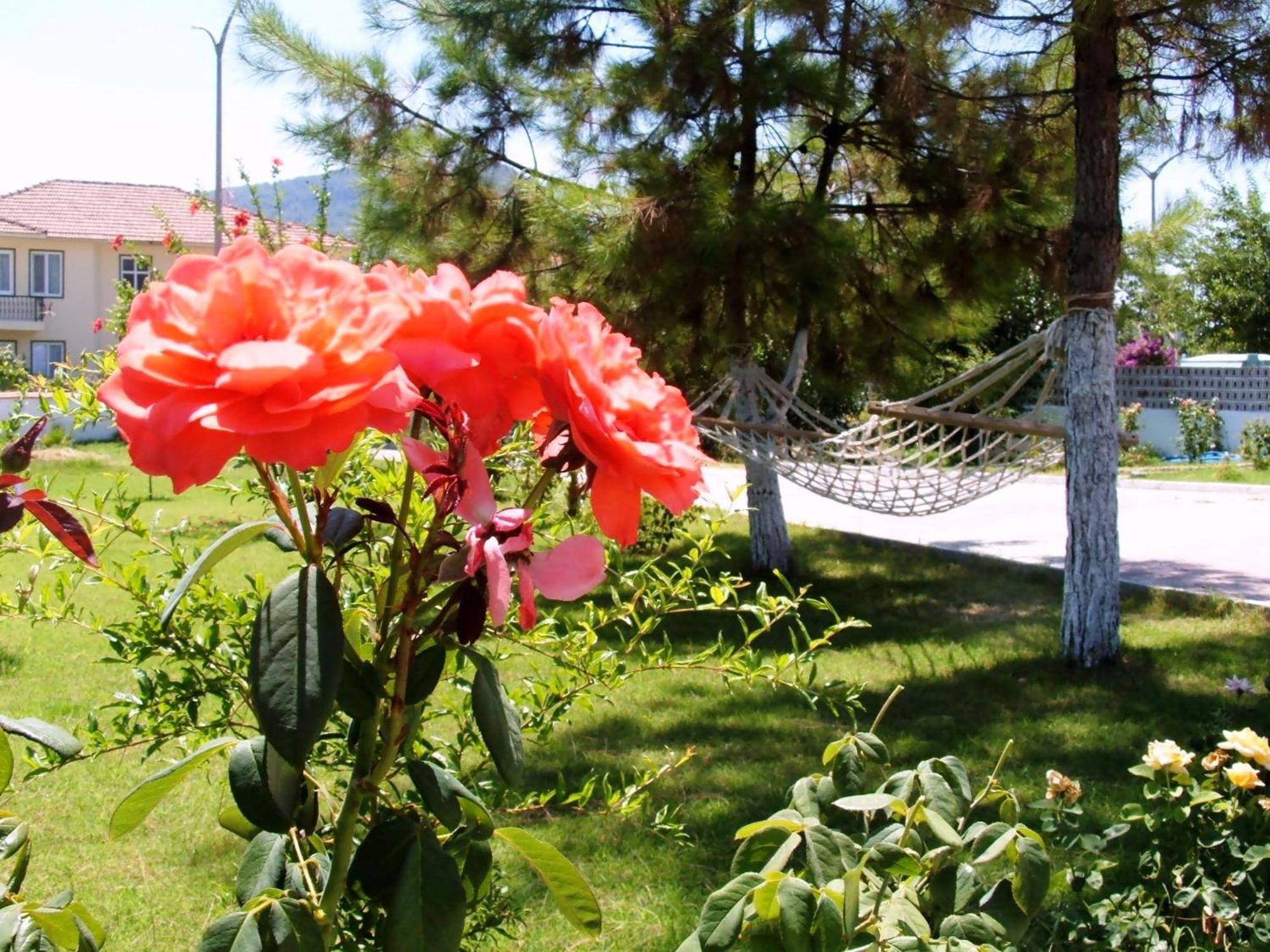 Gurkan Apart Hotel Dalyan Εξωτερικό φωτογραφία