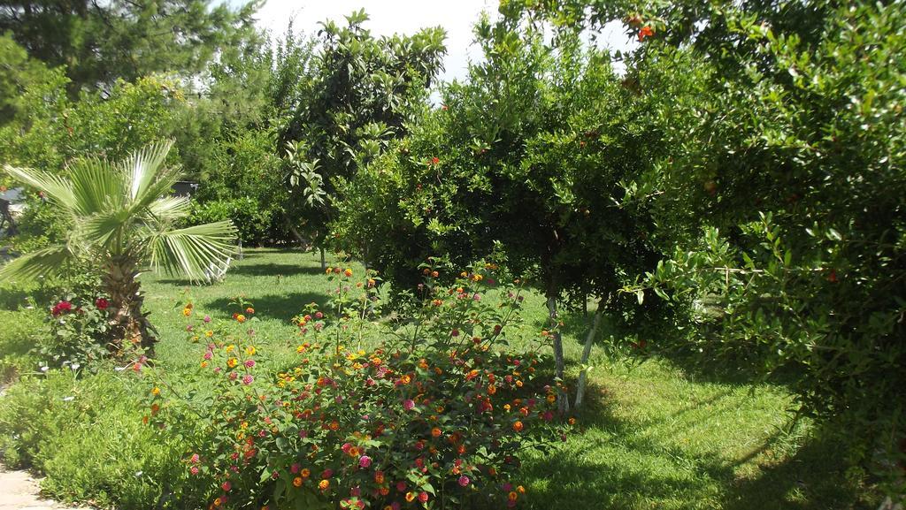 Gurkan Apart Hotel Dalyan Εξωτερικό φωτογραφία