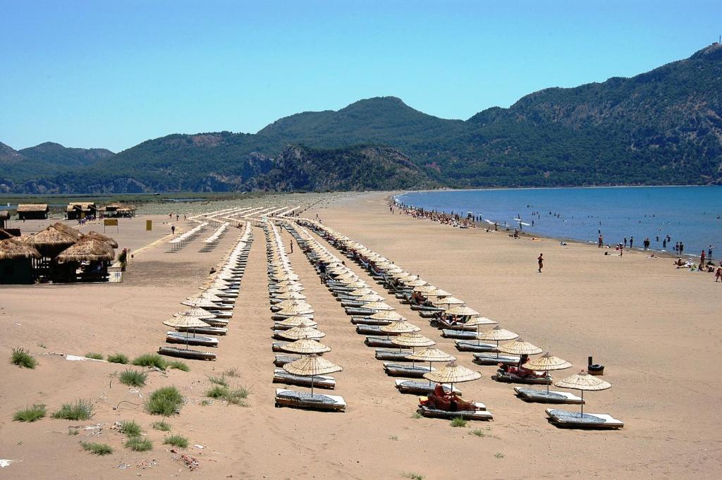 Gurkan Apart Hotel Dalyan Εξωτερικό φωτογραφία